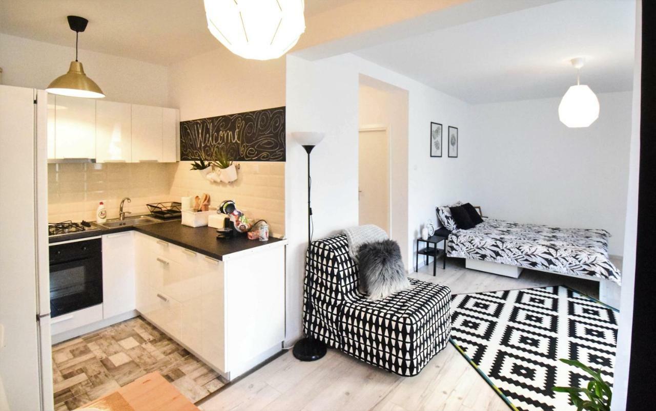 Apartmán Frunzisului 110 Kluž Exteriér fotografie