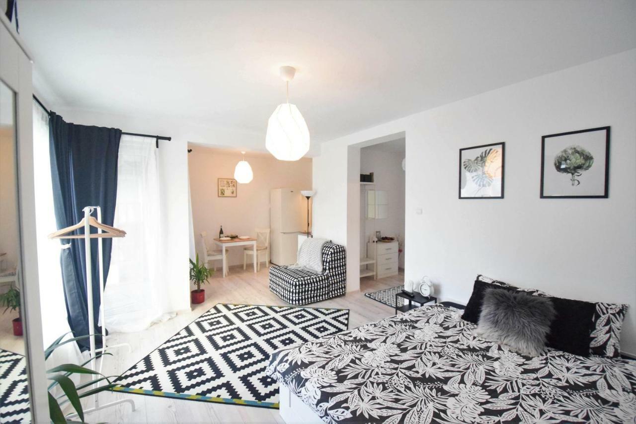 Apartmán Frunzisului 110 Kluž Exteriér fotografie
